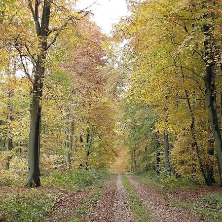 Parenthese Normande *