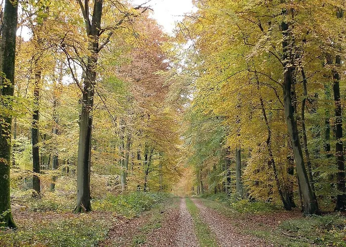 Parenthese Normande *